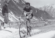 Un ricordo del ciclismo anni '50 e '60 i grandi Charly Gaul Jacques Anquetil