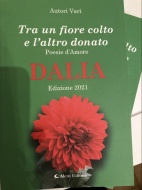 "Spiegami l'amore" poesia della Angiolini pubblicata da Aletti Editore DALIA Edizione 2021