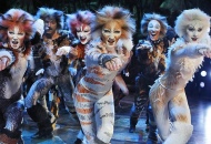 Cats ritorna in teatro il grande musical inglese con i gatti protagonisti assoluti