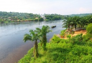 Messaggio di don Antonio d'Osasco su veglia Immacolata per la pace in Congo