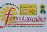 Il Comune di Rosignano Monferrato ha ottenuto il Premio Qualità Comune Fiorito