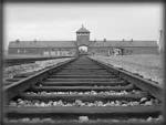 Il campo di sterminio di Auschwitz