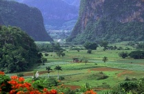 Valle di Vinales (2)