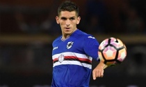 Torreira