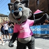 Lupo Wolfie simbolo del Giro