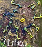 "All'attacco" di Antonella Angiolini