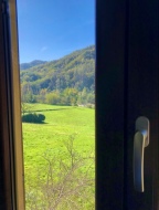 La Natura vista dalla finestra, A. Angiolini